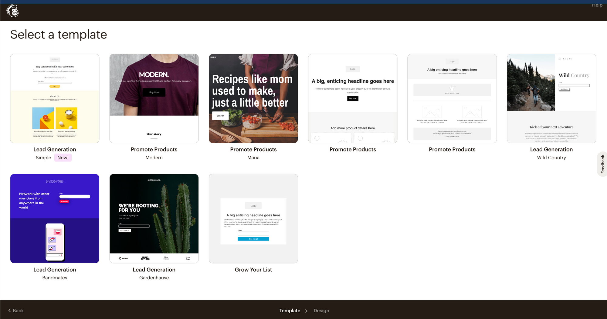 Mailchimp Landing Pages