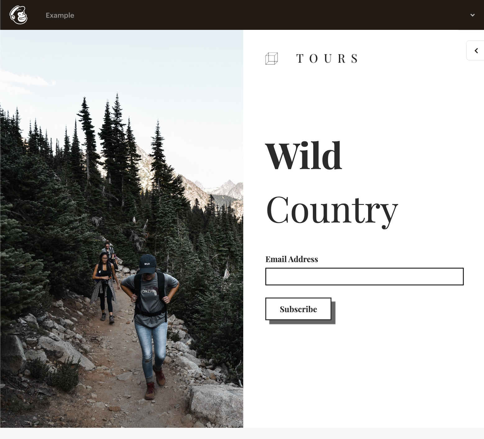 wild country landing page examples