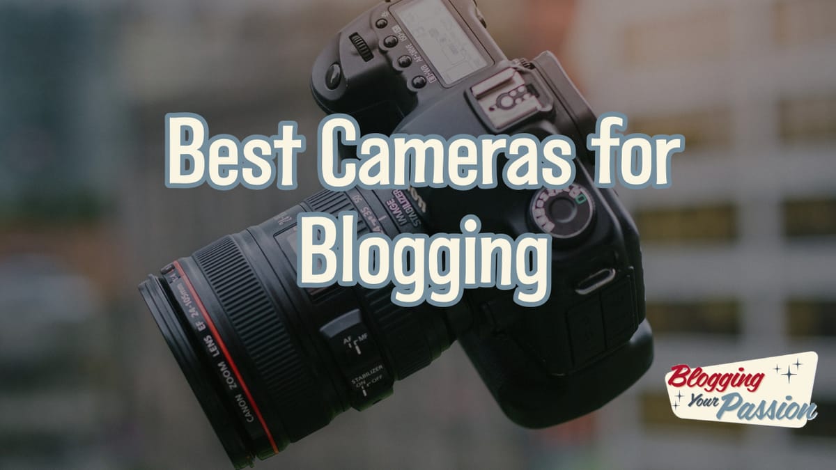 Best Video Camera For Video Blogging 17 Best Cameras for Blogging on a Budget 2024