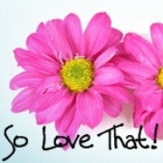 SoLoveThat.com So Love That Blog